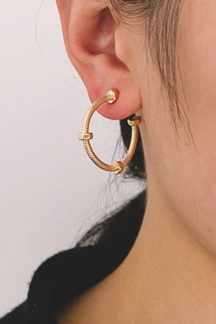 WH-04 (well hung earrings)